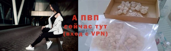 apvp Арсеньев