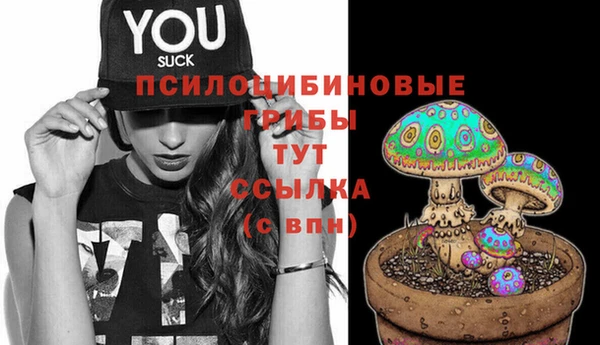 герыч Осинники