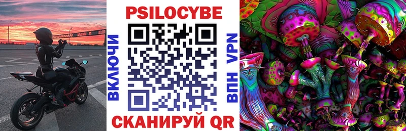 цена наркотик Новомосковск гидра онион Псилоцибиновые грибы MAGIC MUSHROOMS