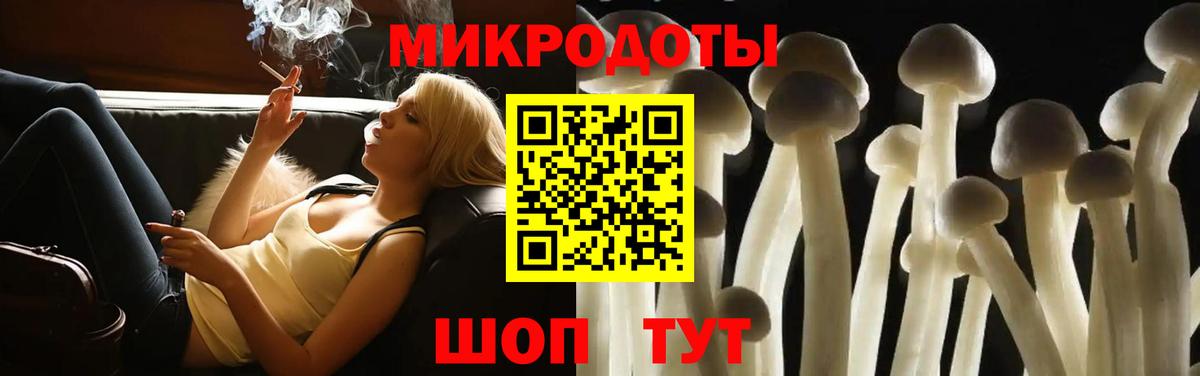 Псилоцибиновые грибы MAGIC MUSHROOMS  Вход с VPN  Новомосковск 