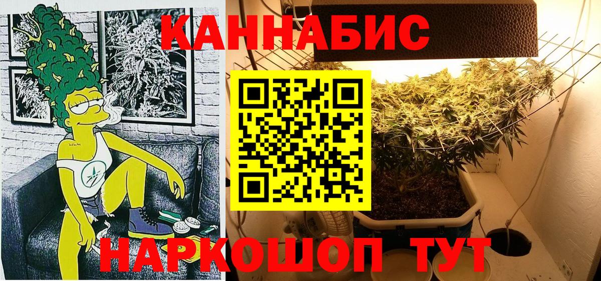 Конопля планчик  Бошки Шишки VHQ  Новомосковск  Вход с VPN  Бошки Шишки THC 21%  Шишки марихуана конопля 
